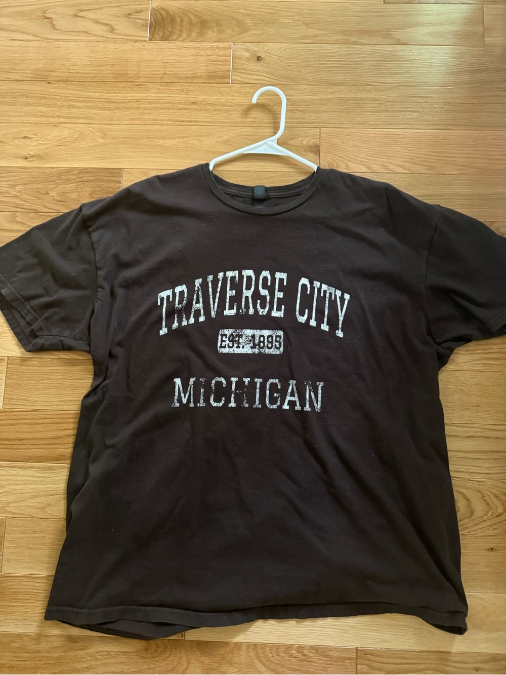 Traverse City Michigan Graphic Tee - Brown